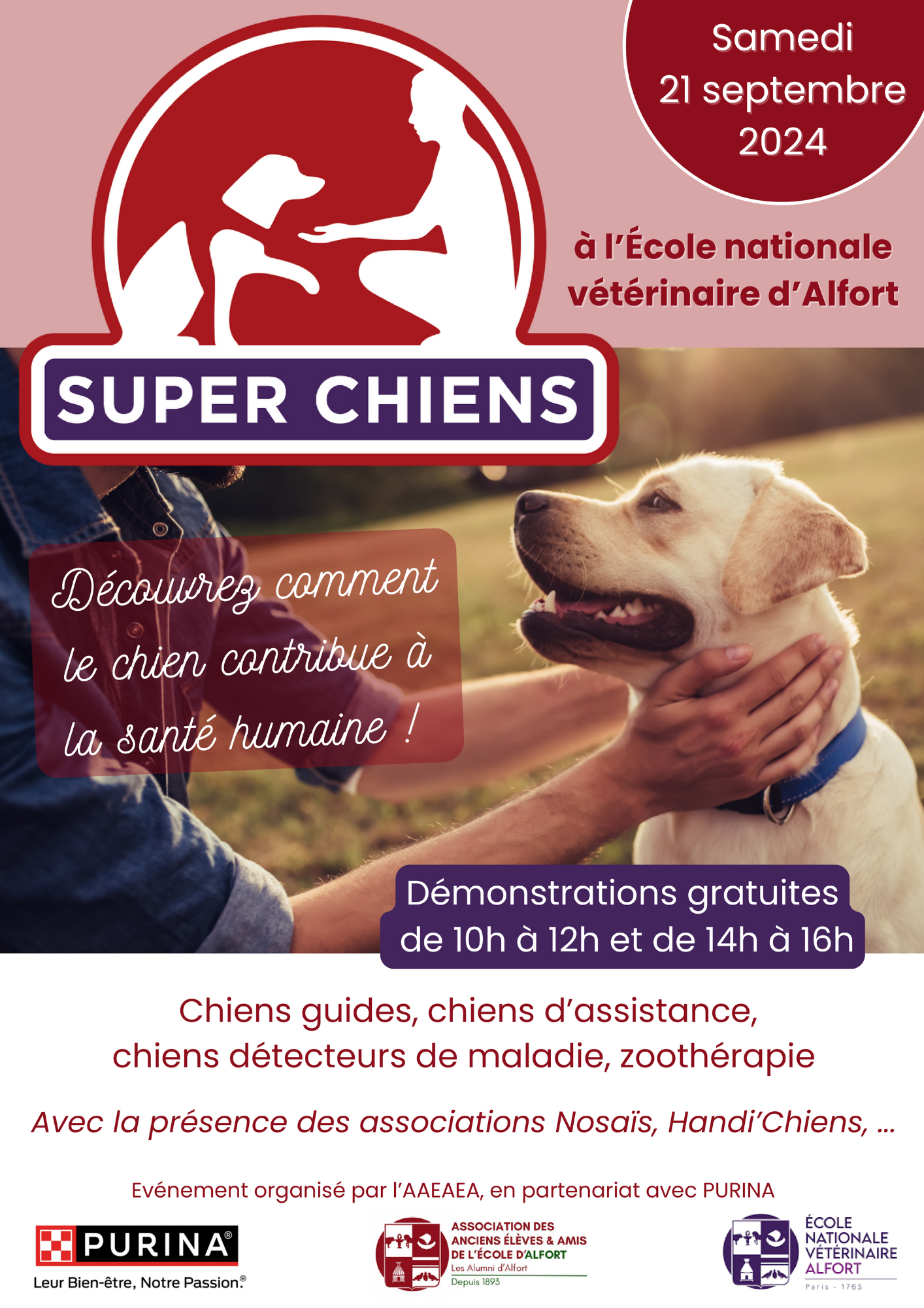 evenement super chiens