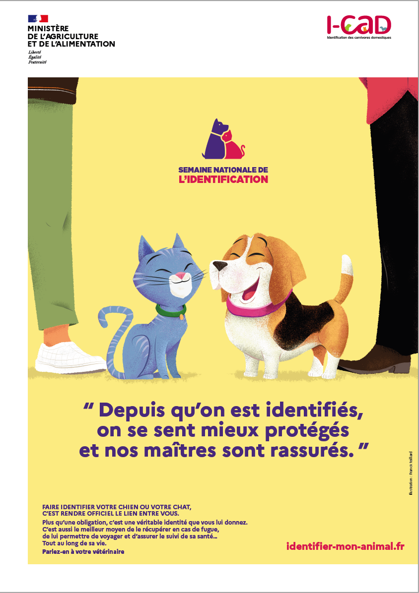 Semaine de lu0027identification des chiens et des chats / Une campagne 