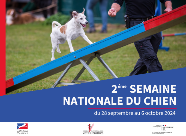 semaine nationale du chien